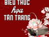 Ta Vì Biểu Thúc Họa Tân Trang